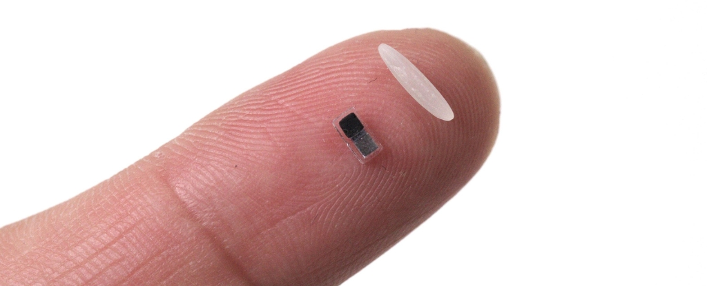 A close-up image of a finger holding the world's smallest pacemaker, which is smaller than a grain of rice, alongside a white object.