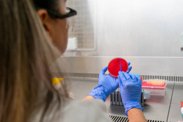 Healthcare worker wearing gloves handles a medical sample tube in a clinical lab, representing infection testing related to sepsis diagnosis.